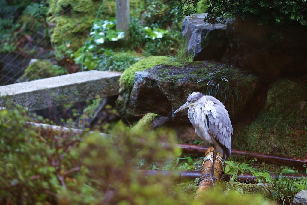 Mikiya Otel Toyooka  Oda fotoğraf